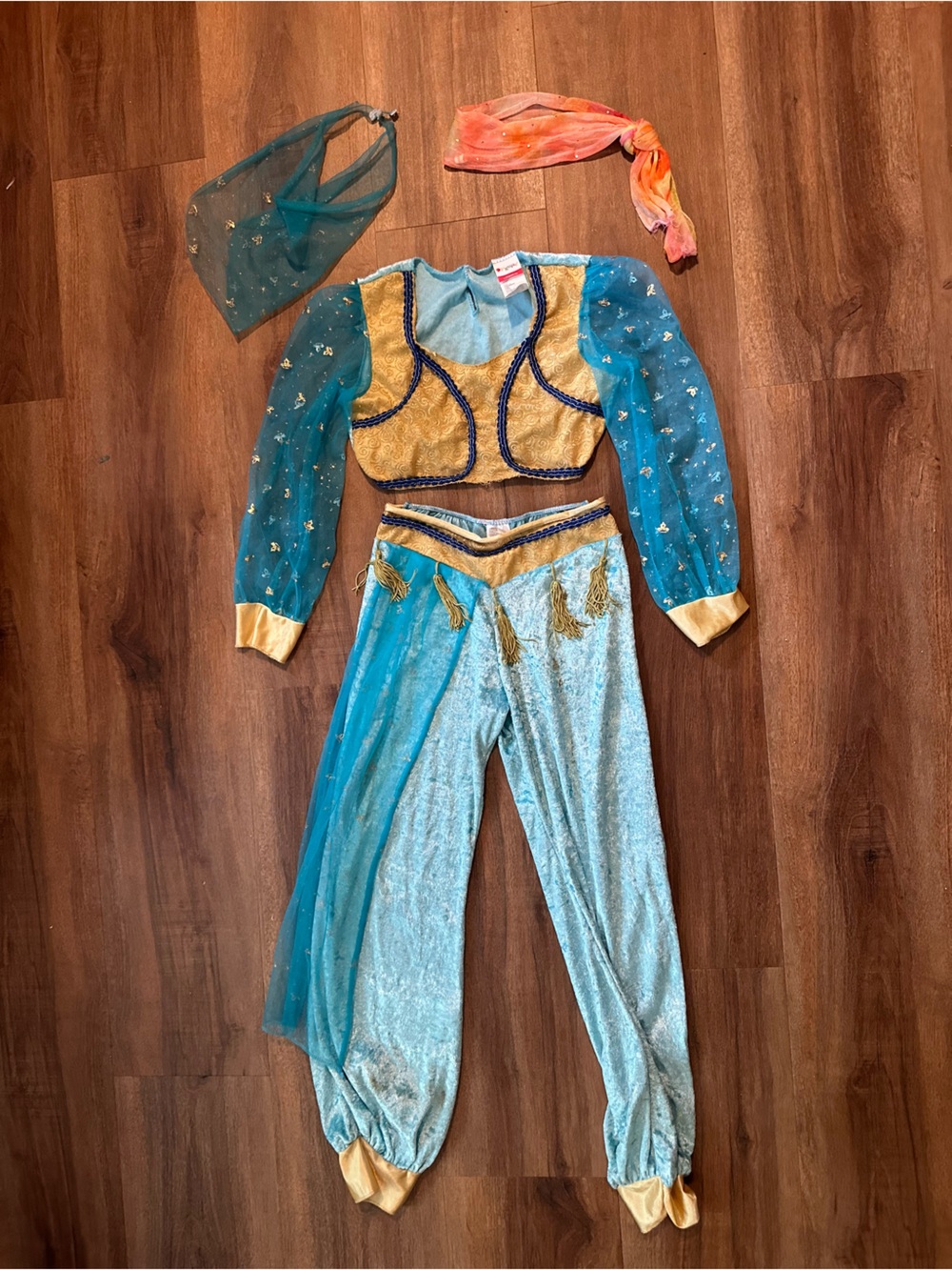 Kids 10/12 Jasmine Costume